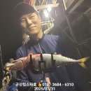 7/31 먼바다 야간고등어 출조 소식 이미지