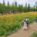 서우나무 | 서우의 인생 첫 드론, DJI Neo 2 후기