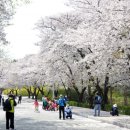 옥곡동 강변도로 이미지