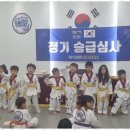 용인대 수 태권도장 이미지