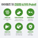 루이펫독 | [강아지 사료추천] 아이엠즈™ 독 강아지 건사료 체험단 솔직후기🤍