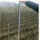 길림농장 이미지