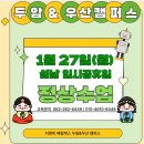 지앤비패럴랙스우산학원