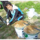 꿈꾸는 농장 이미지