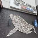돌고래회집 - 서천군 | [경주 감포 맛집] 탁 트인 오션뷰 보며 즐기는 시원한 명품 물회, ‘돌고래횟집’ 내돈내산 후기