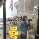 도그애견샵 이미지