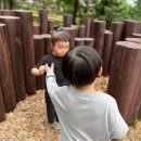 [바깥놀이] 무양공원 유아숲 놀이터 🌳 이미지