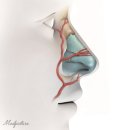 바로메드 이미지