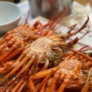 오이소홍게무한리필 | 포항 오이소 홍게 무한리필 후기 | 죽도시장 인생맛집 예약팁까지 총정리