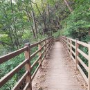 오솔길 농장 이미지