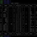 [R-Pi 실습 10] WiringPi Library 설치하기 이미지
