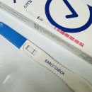 5편 _ 부천 마리아 인공수정1차 주의사항 후기 일정