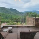 포레스트리솜 이미지