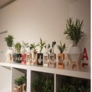 한샘축산 이미지