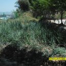 옥정보건진료소 이미지