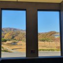 포도컨트리클럽 이미지