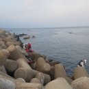 대본1리 이미지