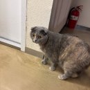 유림-1114 이미지