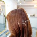 뽀끌랑헤어살롱