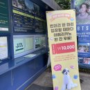 퍼스트가든(솜사탕) | 파주 놀이기구 및 동물먹이주기 놀거리 다양한 아이랑 가기 좋은 퍼스트가든 내돈내산 후기.