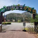 계월농장 | 4월 전남 장흥 하늘빛수목원 튤립축제 기본정보 (ft.이용정보 및 요금안내)