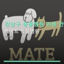 압구정메이트동물병원 | 강남구 동물병원 이용 안내 메이트 동물병원 예약 방법·영업시간·주차 정보 한눈에 보기