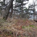 연화약수터 이미지