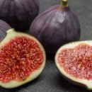 컴포즈커피 파주야당점 이미지