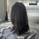 새움인테리어 | 경북도청 미용실 추천|레이어드 컷 후기 펌 잘하는 곳 ‘헤어비‘