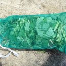 황골농장 이미지