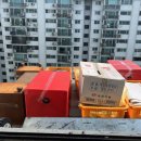 처분이사 이미지