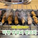 미향양갈비양꼬치 | [맛집공부] 분당 양꼬치 야탑 먹자골목 꿔바로우 맛집 미향양갈비양꼬치 내돈내산 후기