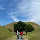 소명목장 이미지