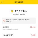 [캐시워크] 모은 포인트로 롯데리아 불고기버거세트 먹은 후기 💛앱삭제엔딩💛