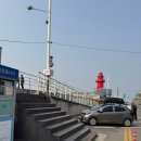 경기도지정육우직매장 | 오이도 난전 어시장 솔직 후기 | 비닐하우스 야장에서 즐긴 봄 도다리회