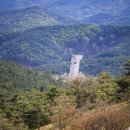 하늘담쟁이 | 숲과 건축, 사유가 깃든 정원-군위 사유원