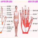 초보자 수지침 배우기 이미지