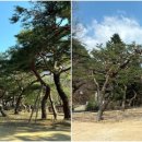 제천시민공원 이미지