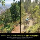 옥정싸군안경 이미지