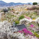 (주)다원코리아 이미지