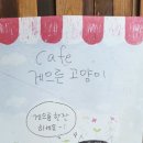 게으른고양이 이미지