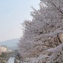 주식회사 무브컬쳐