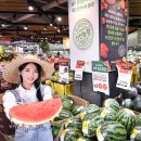 신선농장 이미지