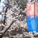 사비 그리고 달 이미지