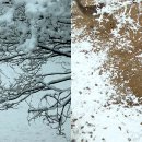 서울숲3 이미지