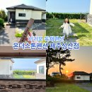 감탄 성산점 | 서귀포 독채펜션 I 온더스톤펜션 제주성산점 오션뷰 숙박 후기