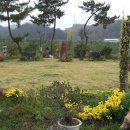 영천농장 이미지