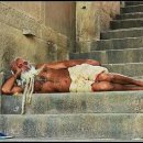 동산통신 이미지