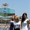 스타디움 이미지