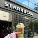 스타벅스커피 부민사거리점 | 서울 강남 역삼 커피숍 스타벅스 국기원사거리점 카페 후기